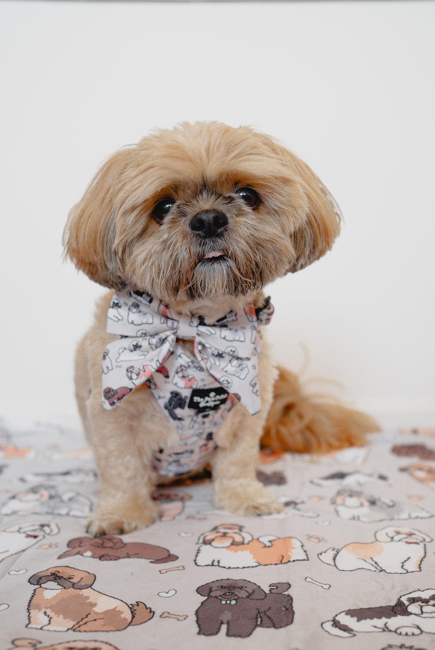 The Shih Tzu Adjustable Harness