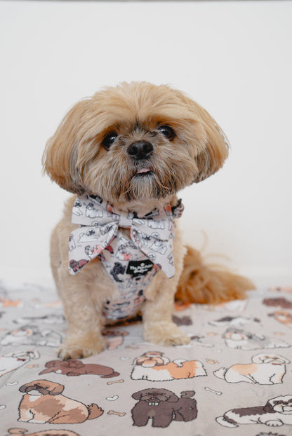 The Shih Tzu Adjustable Harness
