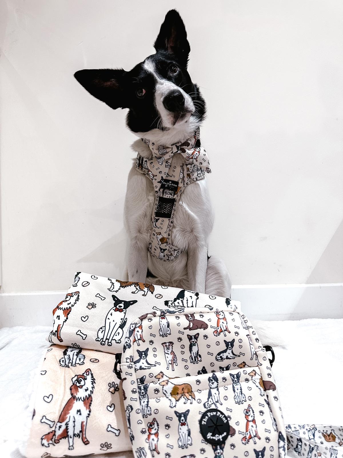 The Collie Dog Walking Bag