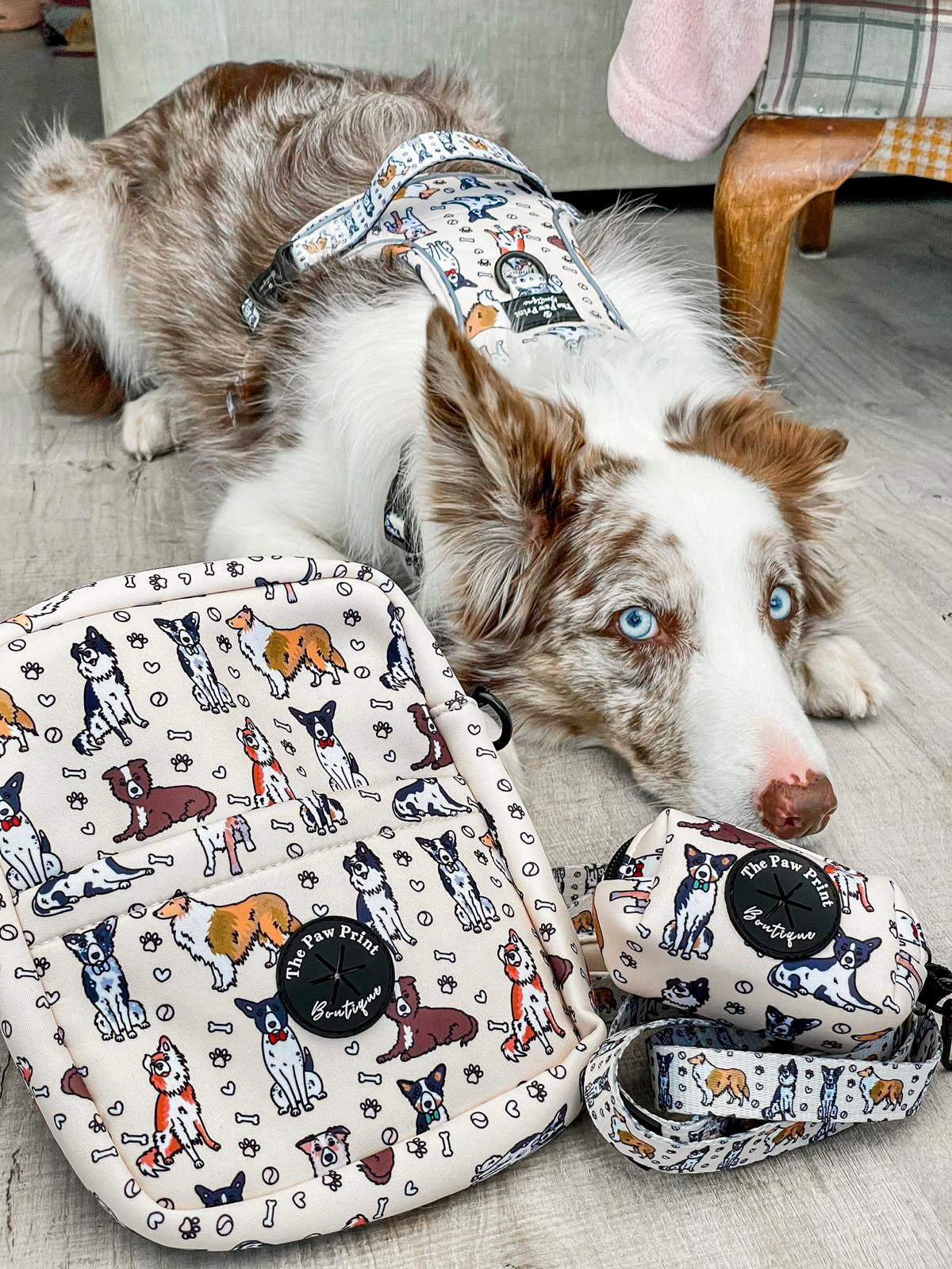The Collie Dog Walking Bag