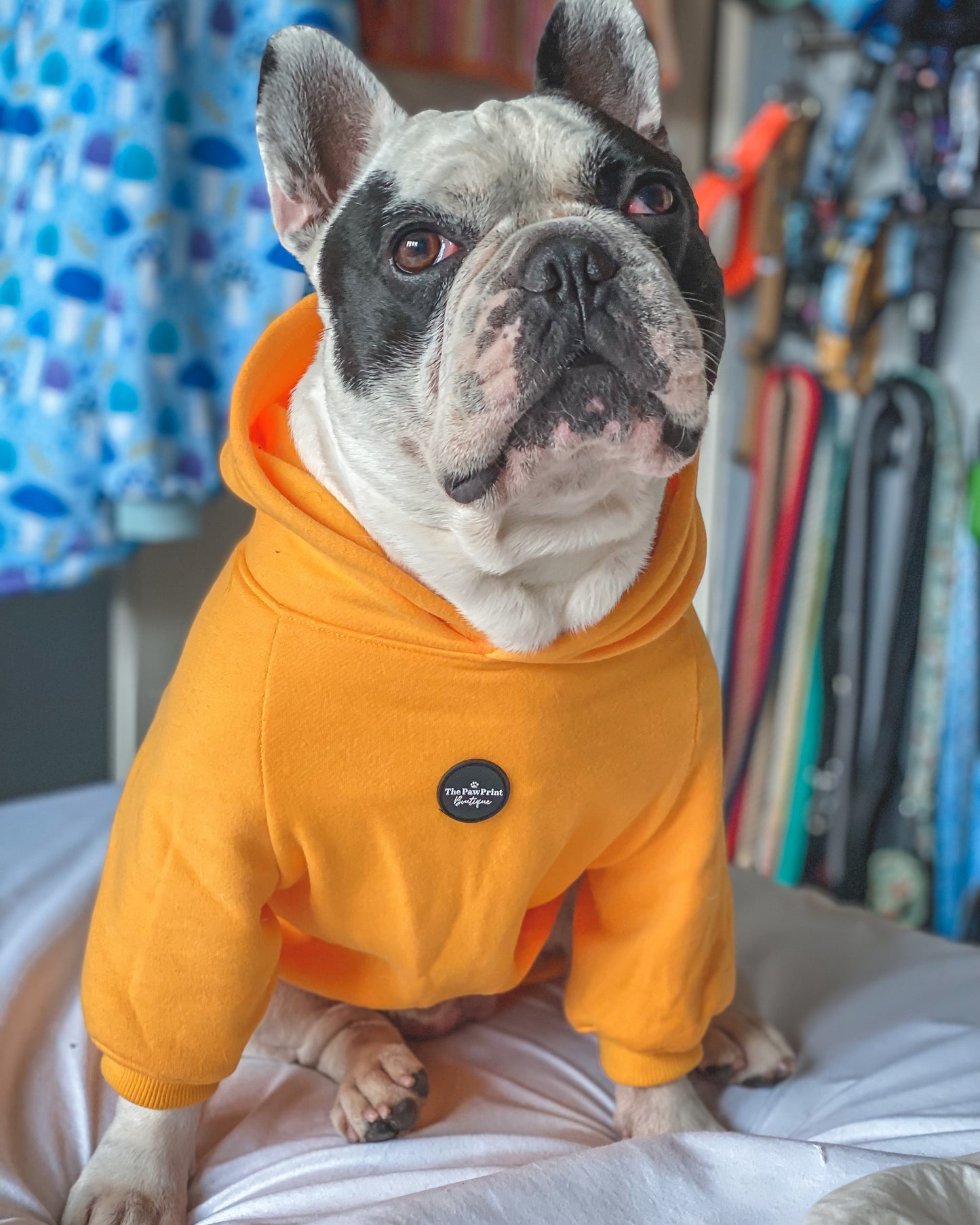 Dog Hoodie - Yellow