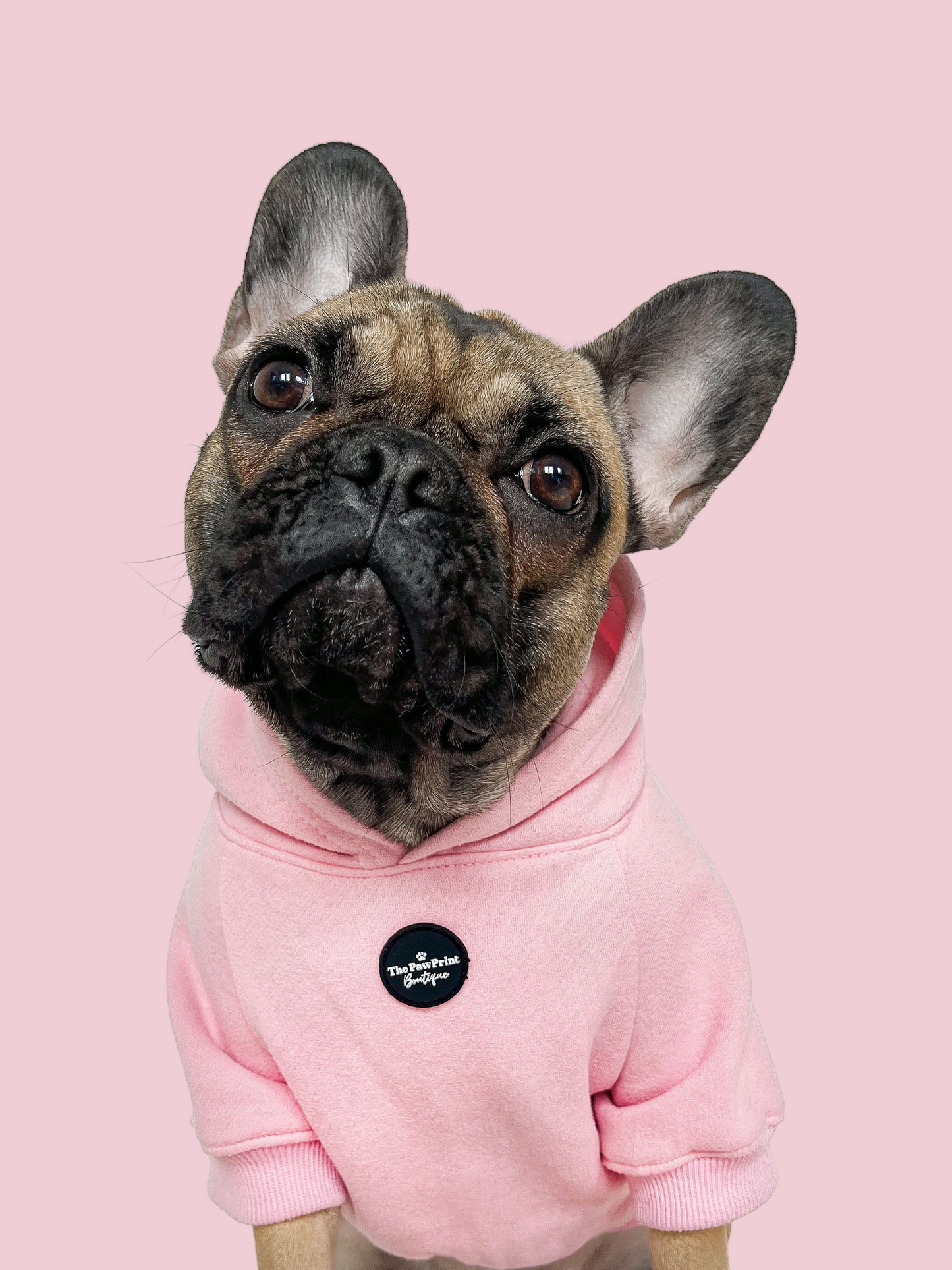Dog Hoodie - Baby Pink