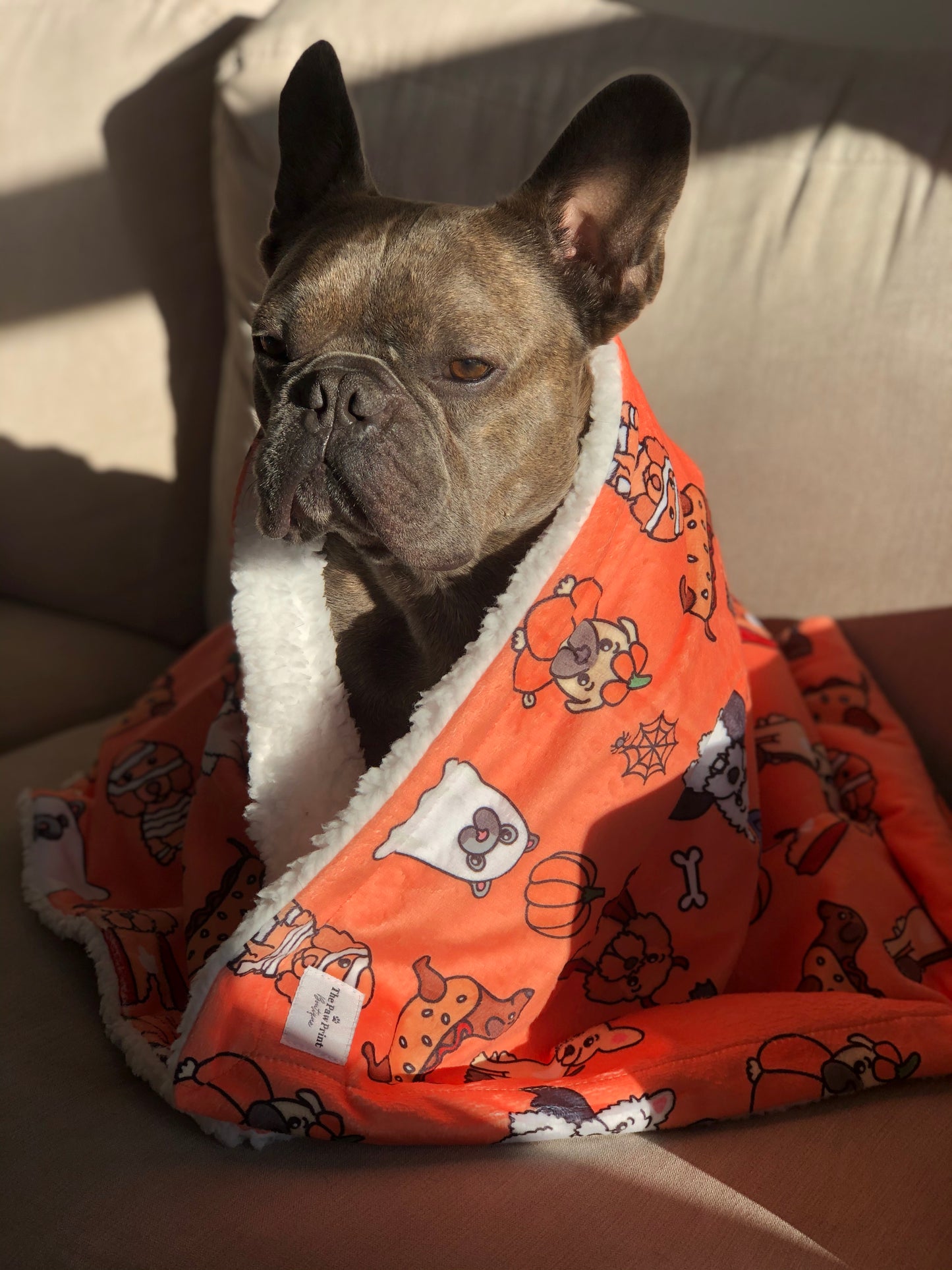 The Happy Howloween Dog Blanket