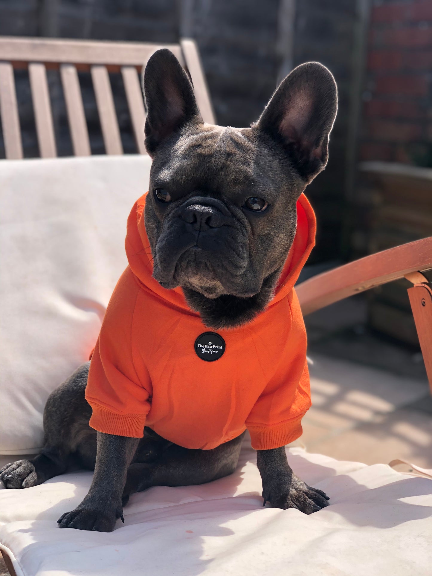 Dog Hoodie - Orange