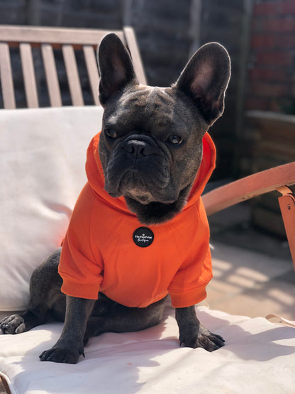 Dog Hoodie - Orange