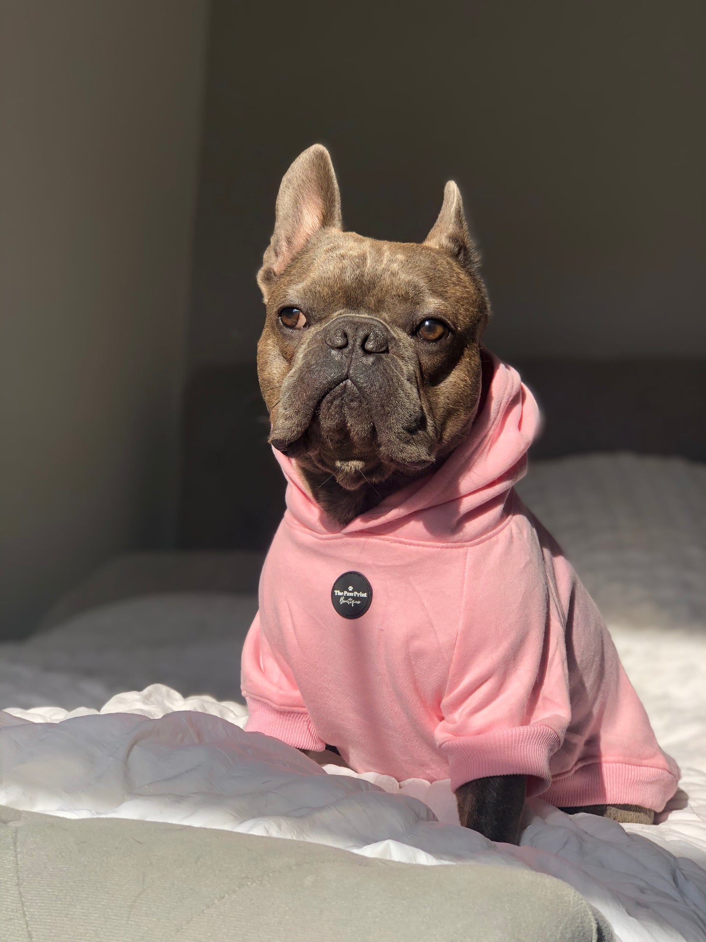 Dog Hoodie - Baby Pink