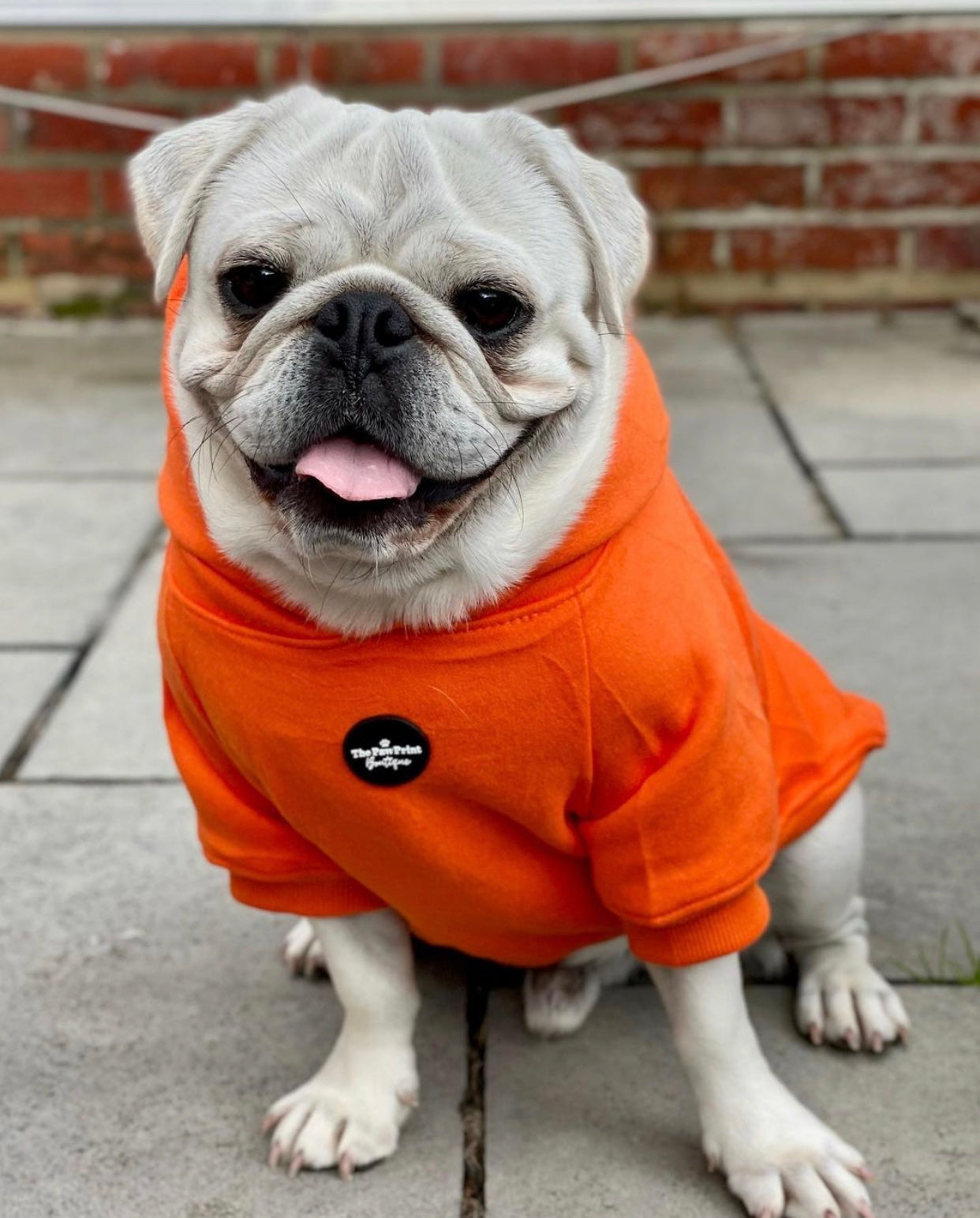 Dog Hoodie - Orange