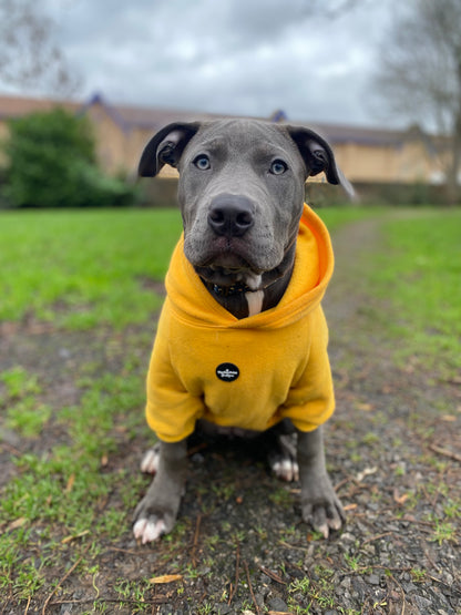 Dog Hoodie - Yellow