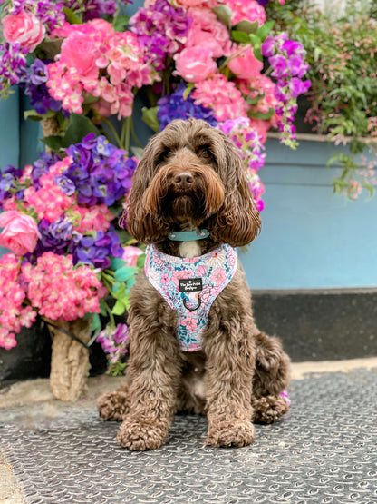 The Fabulous in Floral Harness