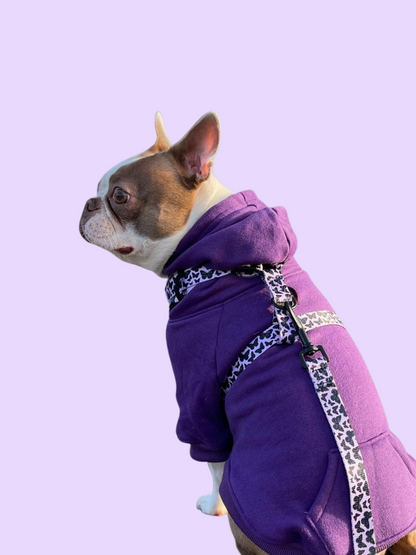 Dog Hoodie - Purple